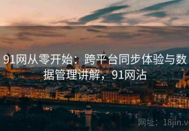 91网从零开始：跨平台同步体验与数据管理讲解，91网沾