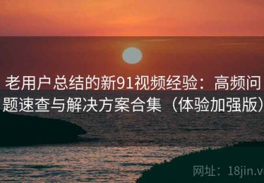 老用户总结的新91视频经验：高频问题速查与解决方案合集（体验加强版）