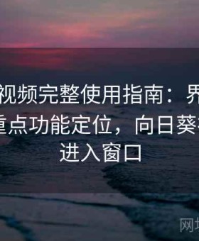 向日葵视频完整使用指南：界面布局逻辑与重点功能定位，向日葵视频app进入窗口