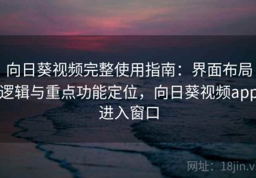 向日葵视频完整使用指南：界面布局逻辑与重点功能定位，向日葵视频app进入窗口