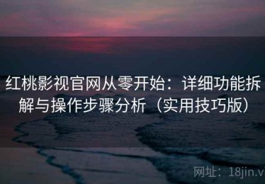 红桃影视官网从零开始：详细功能拆解与操作步骤分析（实用技巧版）