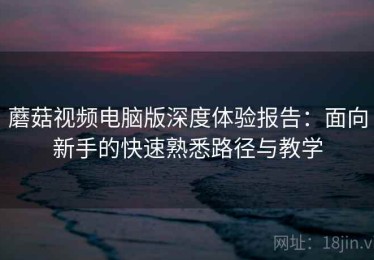 蘑菇视频电脑版深度体验报告：面向新手的快速熟悉路径与教学