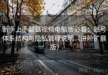 新手上手蘑菇视频电脑版必看：账号体系结构与隐私管理说明（进阶扩展版）