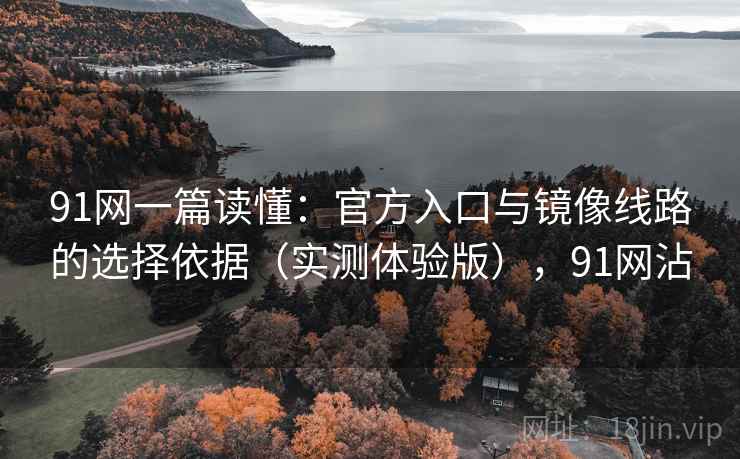 91网一篇读懂:官方入口与镜像线路的选择依据(实测体验版),91网沾 91网一篇读懂:官方入口与镜像线路的选择依据(实测体验版),91网沾