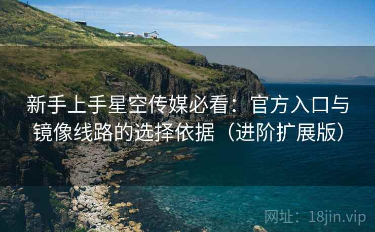 新手上手星空传媒必看：官方入口与镜像线路的选择依据（进阶扩展版）