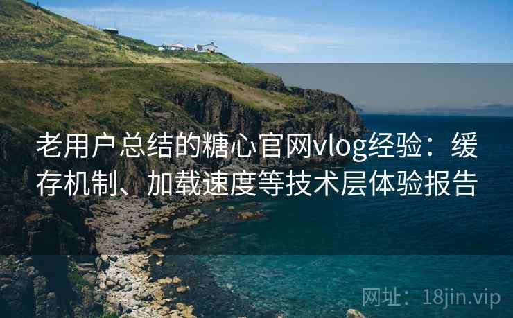 老用户总结的糖心官网vlog经验：缓存机制、加载速度等技术层体验报告