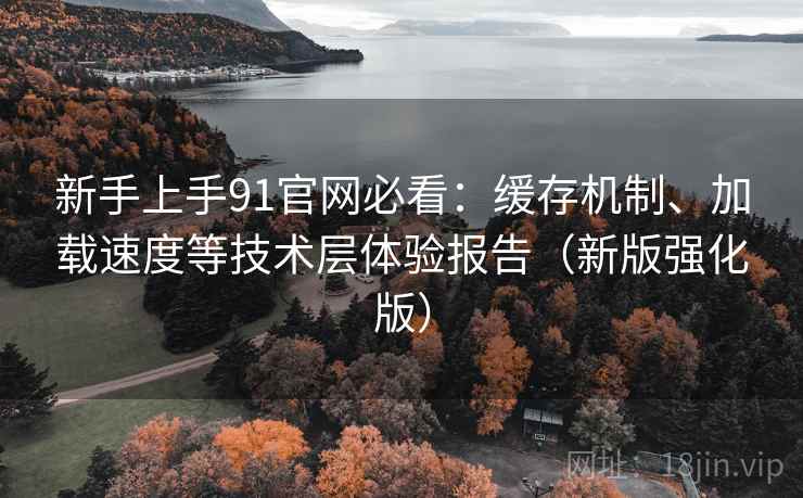 新手上手91官网必看:缓存机制、加载速度等技术层体验报告(新版强化版) 新手上手91官网必看:缓存机制、加载速度等技术层体验报告(新版强化版)