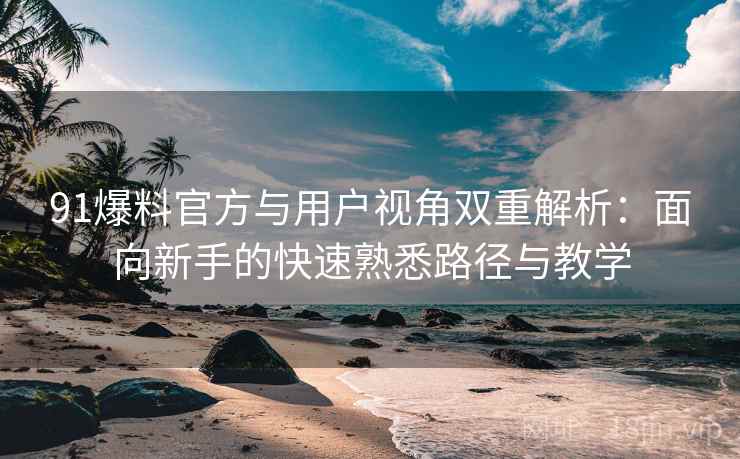 91爆料官方与用户视角双重解析:面向新手的快速熟悉路径与教学 91爆料官方与用户视角双重解析:面向新手的快速熟悉路径与教学