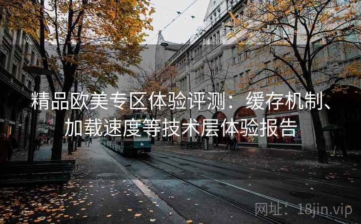 精品欧美专区体验评测:缓存机制、加载速度等技术层体验报告 精品欧美专区体验评测:缓存机制、加载速度等技术层体验报告