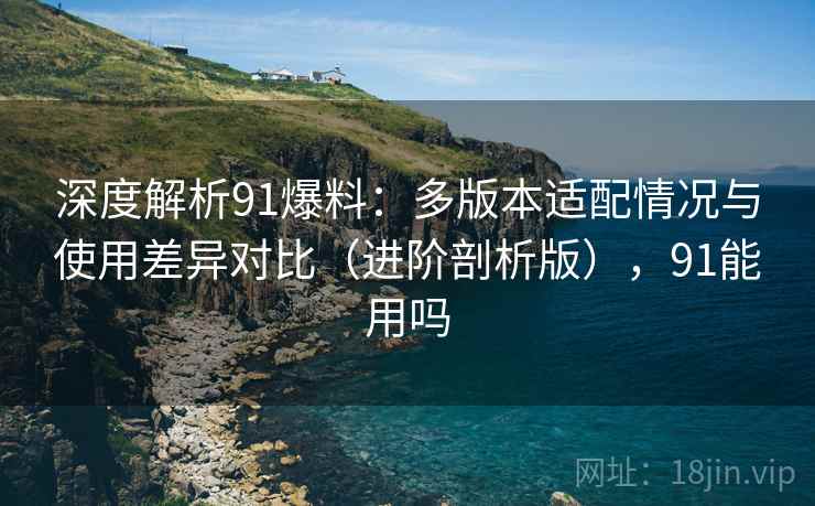深度解析91爆料：多版本适配情况与使用差异对比（进阶剖析版），91能用吗