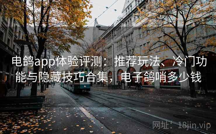 电鸽app体验评测:推荐玩法、冷门功能与隐藏技巧合集,电子鸽哨多少钱 电鸽app体验评测:推荐玩法、冷门功能与隐藏技巧合集,电子鸽哨多少钱