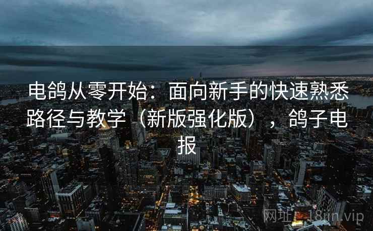 电鸽从零开始:面向新手的快速熟悉路径与教学(新版强化版),鸽子电报 电鸽从零开始:面向新手的快速熟悉路径与教学(新版强化版),鸽子电报