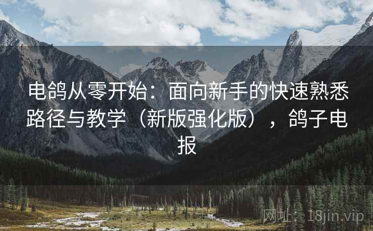 电鸽从零开始:面向新手的快速熟悉路径与教学(新版强化版),鸽子电报 电鸽从零开始:面向新手的快速熟悉路径与教学(新版强化版),鸽子电报