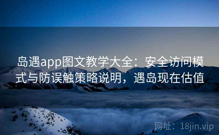 岛遇app图文教学大全：安全访问模式与防误触策略说明，遇岛现在估值
