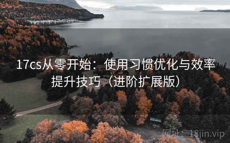 17cs从零开始:使用习惯优化与效率提升技巧(进阶扩展版) 17cs从零开始:使用习惯优化与效率提升技巧(进阶扩展版)