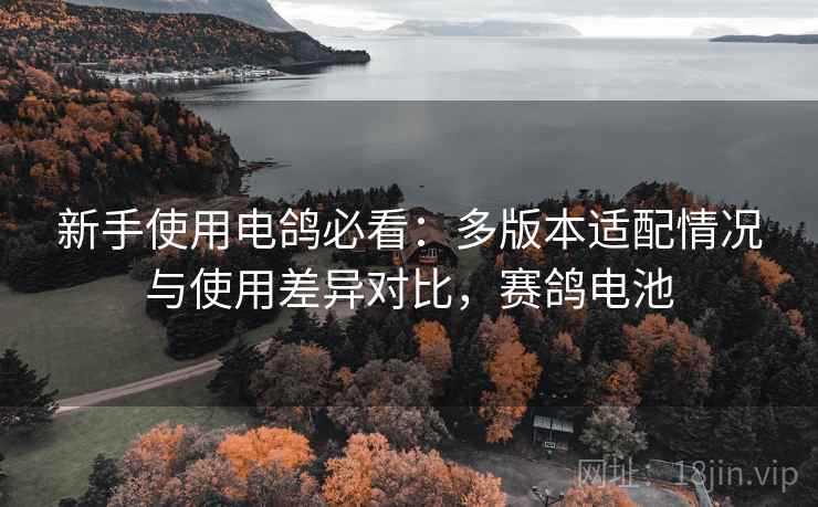 新手使用电鸽必看：多版本适配情况与使用差异对比，赛鸽电池