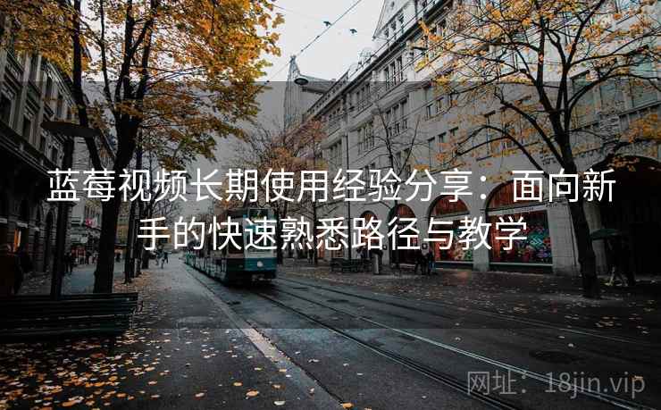 蓝莓视频长期使用经验分享：面向新手的快速熟悉路径与教学
